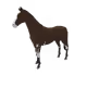 7423
