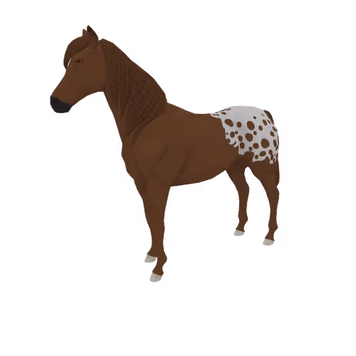 Zkrace Horses
