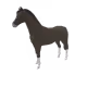 2017