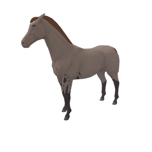 Zkrace Horses
