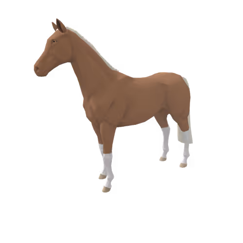 Zkrace Horses