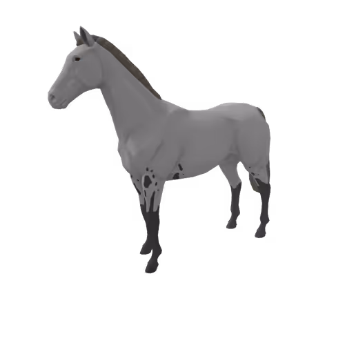 Zkrace Horses