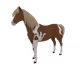 5062