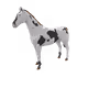 1517