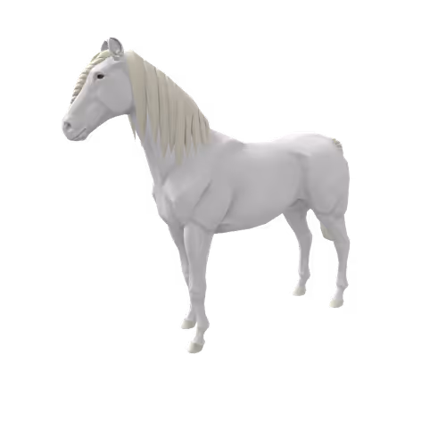 Zkrace Horses
