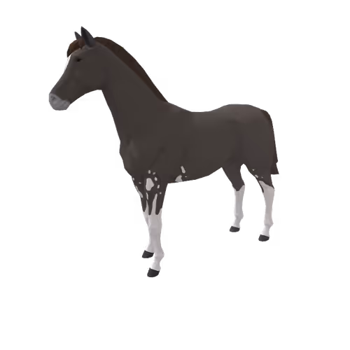 Zkrace Horses