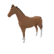 8564