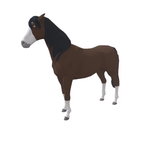 Zkrace Horses