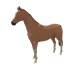 7372