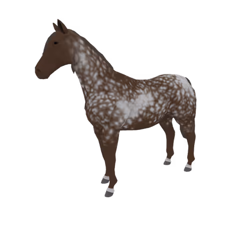 Zkrace Horses
