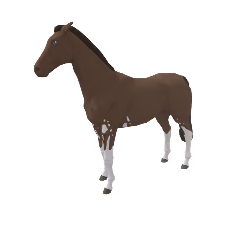 Zkrace Horses