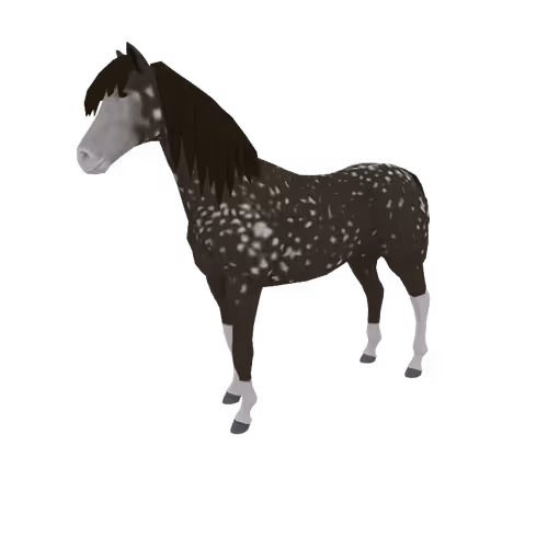 Zkrace Horses