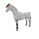 217