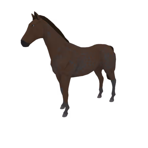 Zkrace Horses