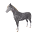 14081