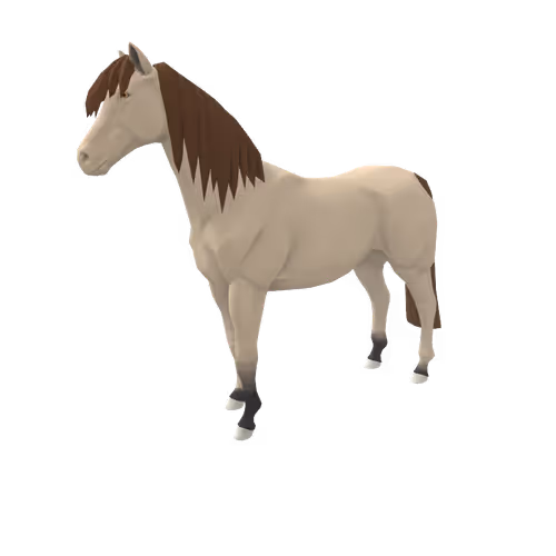 Zkrace Horses