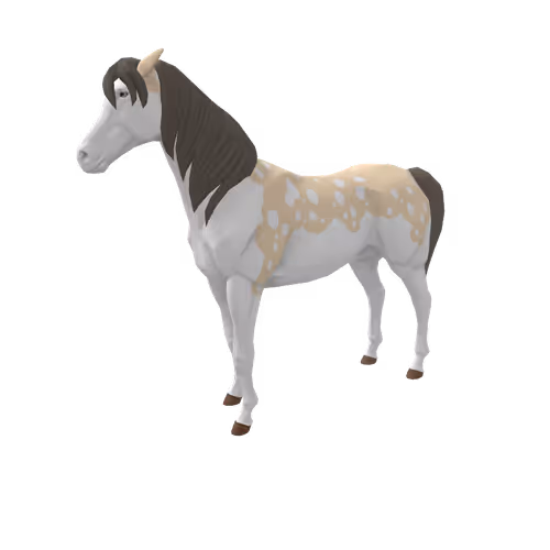 Zkrace Horses