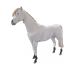 2024