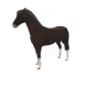 9608