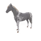 14213