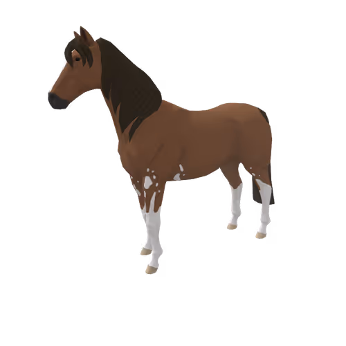 Zkrace Horses