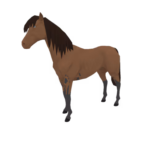 Zkrace Horses