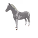 849