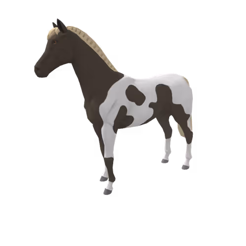 Zkrace Horses