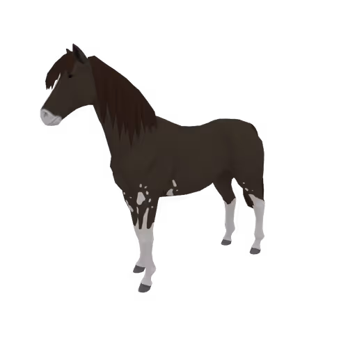 Zkrace Horses