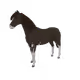 5304