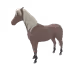 2416
