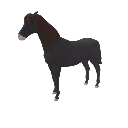 Zkrace Horses