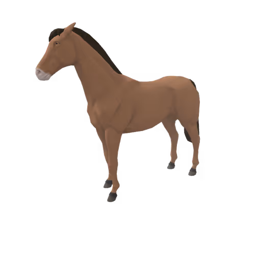 Zkrace Horses