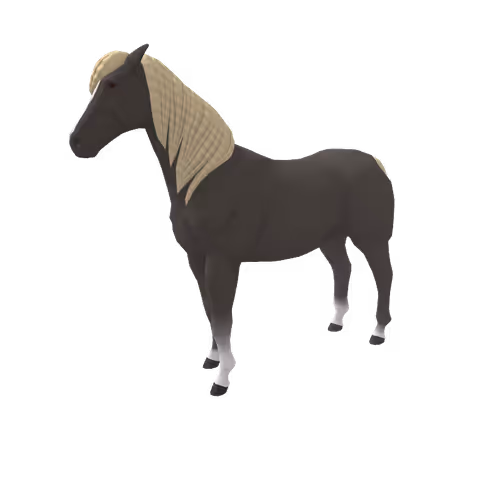 Zkrace Horses