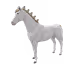2517