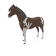 2584