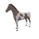14578