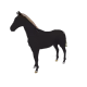 5012