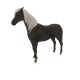 6375