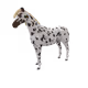 8896