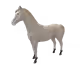11250