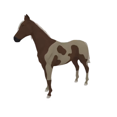 Zkrace Horses