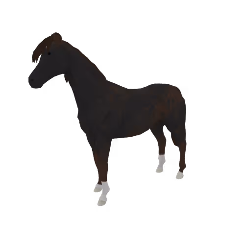 Zkrace Horses