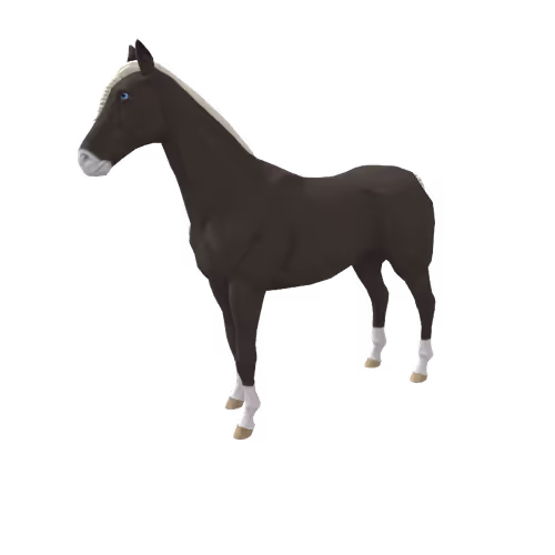 Zkrace Horses
