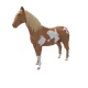 5884