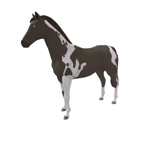 Zkrace Horses