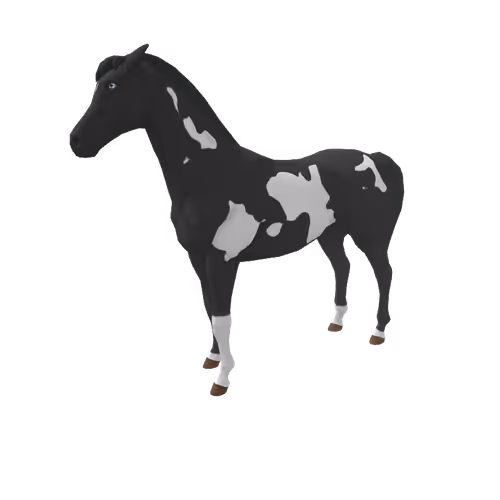 Zkrace Horses