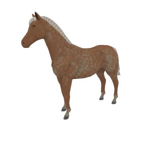 Zkrace Horses