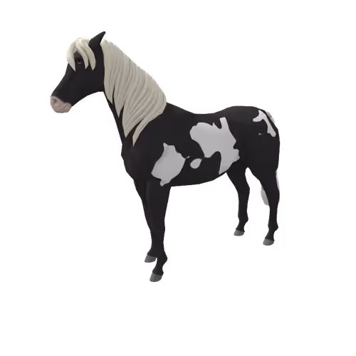 Zkrace Horses