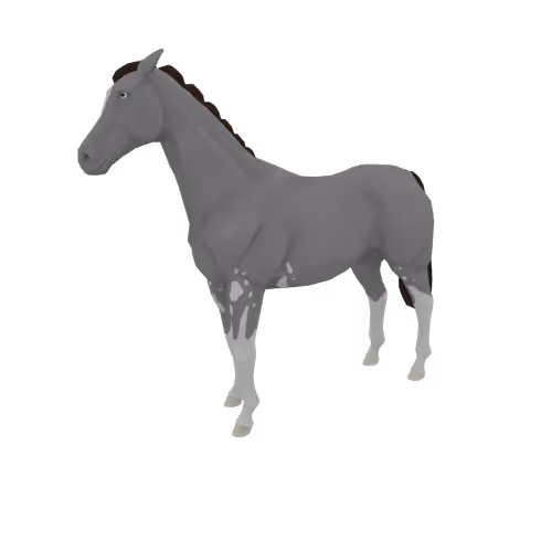 Zkrace Horses